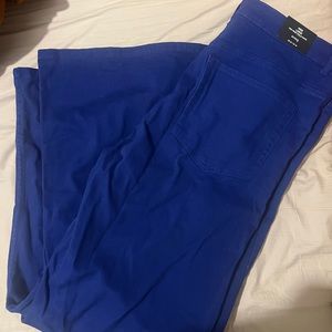 NWT H&M wide leg twill pants never worn